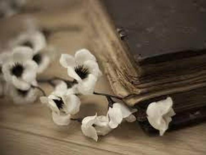 Српска лирска поезија у стиховима народних песама