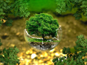 Еколошки магазин