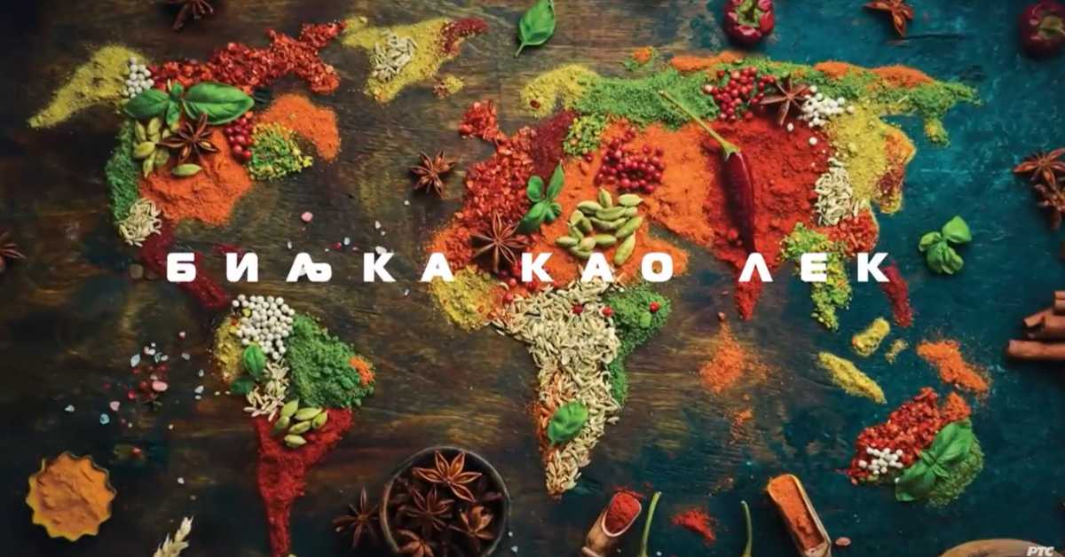 Наука 2024: Биљка као лек