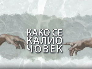 Како се калио човек: Ивана Максимовић