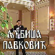 Постер Љубише Павковића