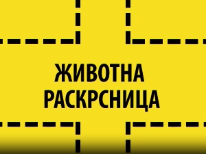 Животна раскрсница:	Инсомнија код младих