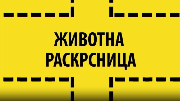 Животна раскрсница:	Депресија код младих