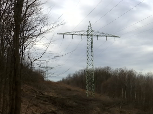 Кад се хектар шуме нађе на траси далековода, шта каже Закон, а шта пракса