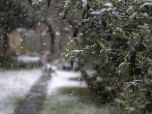 Киша, а на планинама снег – поподне осетно хладније време 