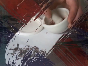 Од пигмента до концепта: Које је боје боја?