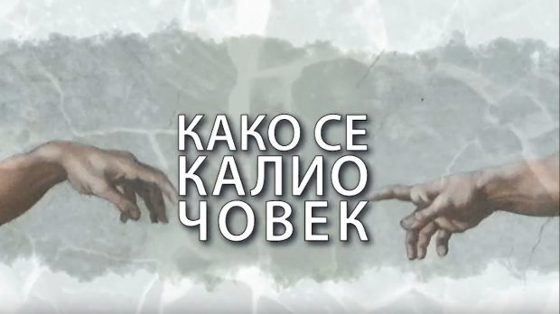 Како се калио човек: Ида Престер