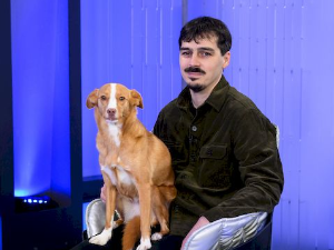 Велика илузија – Нове, старе приче