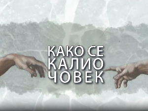 Како се калио човек: Биљана Крстић