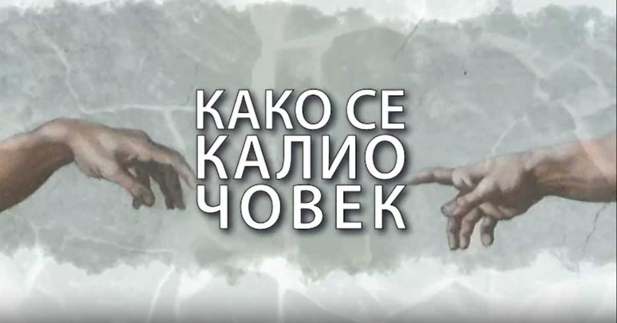 Како се калио човек: Милица Мандић