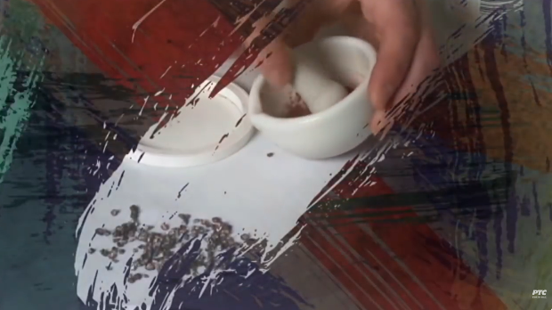 Од пигмента до концепта: Бескрајни плави круг и у њему звезда