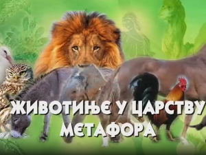 Животиње у царству метафора: Птице