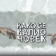 Како се калио човек: Алекса Гајић