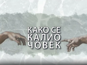 Како се калио човек: Алекса Гајић