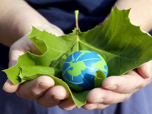 Еколошки магазин