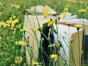 Анализа лирских народних песама