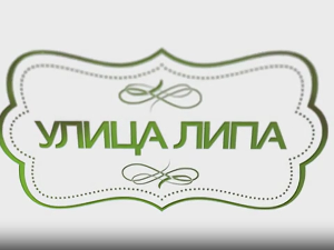 Улица липа, 29. епизода