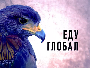 Еду глобал, 287. еп.