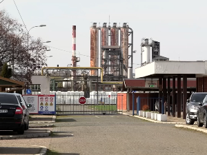 Старт панчевачке Петрохемије