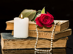 Данкина бројаница – Поетске ноте