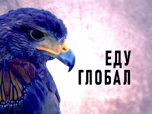 Еду глобал, 289. еп.