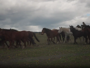 Мање познати хотели света: Имање Серо Гвидо Чиле