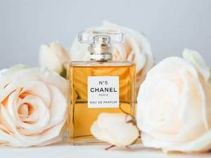 Изабел Фимејер: Коко Шанел – тајанствени парфем (14)