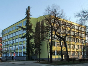 Притвор осумњиченом да је избо две жене у Оџацима