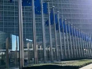 Зечевић: ЕУ проширење витална инвестиција у безбедност, кандидати морају да ускладе спољну политику са Бриселом