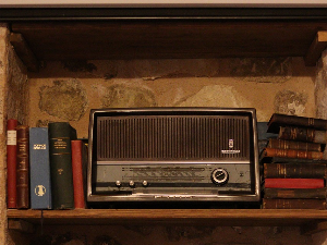 Евергрин азбука – Celia Cruz