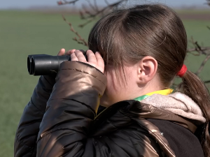 У околини Кикинде необична акција бројања зечева