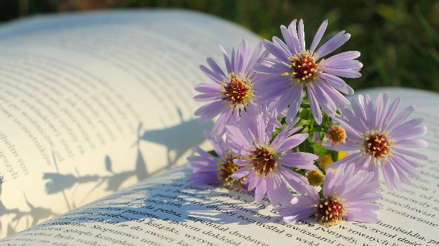Српски на српском: Пренајбољи српски