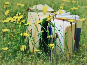 Душан Костић: „Пријатељство”