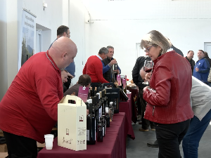 Када ће вршачка вина добити ознаку географског порекла? 