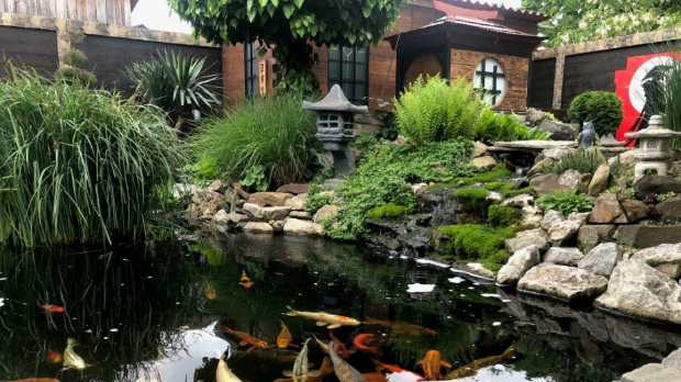 Екологери: Суботичка зен башта