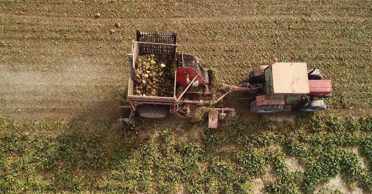 Оригинал без адресе, 4. еп.