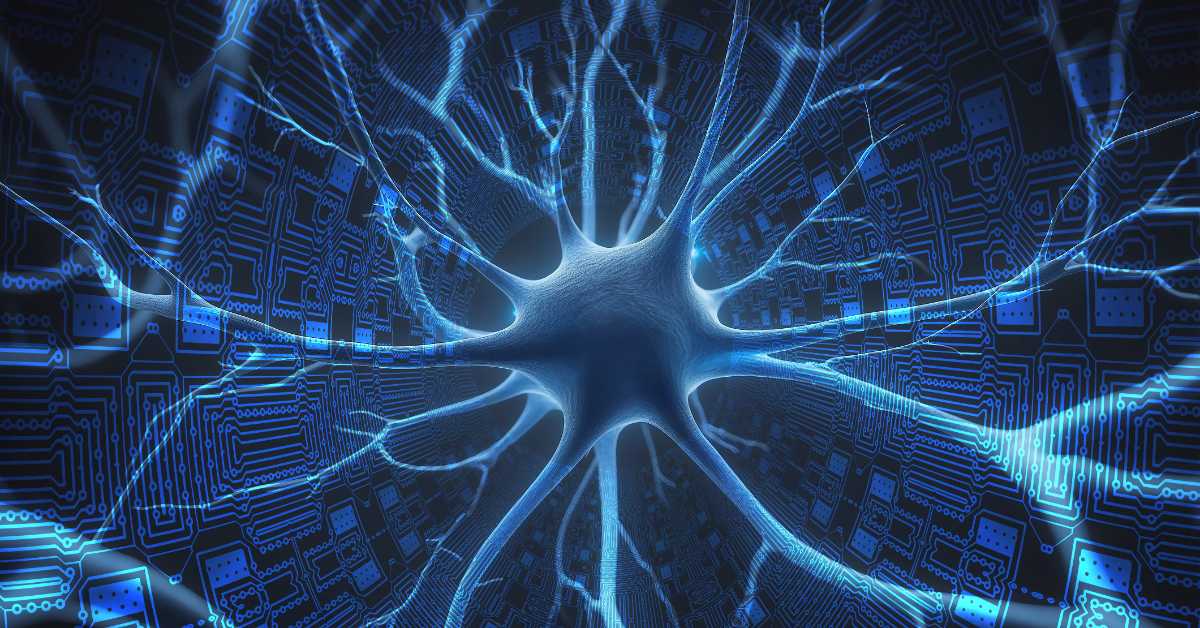 Научници први пут оживели активност у замрзнутом, па одмрзнутом мозгу