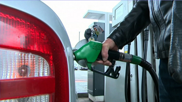 Мијушковић: Држава је обезбедила довољне резерве горива, најважније да не паничимо