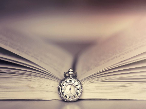 Сатирички роман о Београду и сећање на Божу Копривицу 