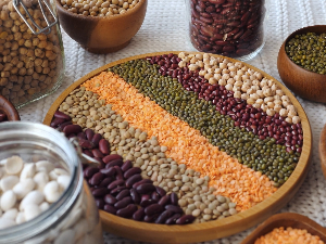 Наука привреди, 5. еп.