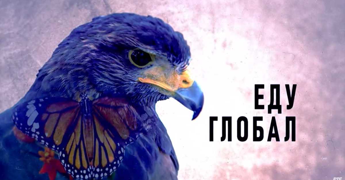 Еду глобал, 291. еп.