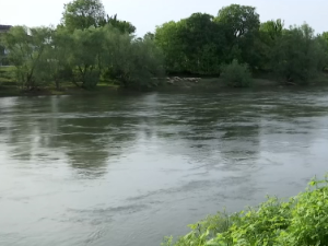 Извучено тело из Велике Мораве