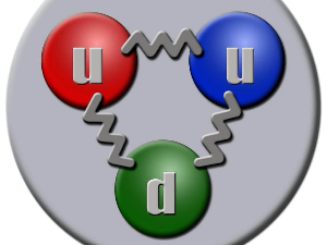 Породица кваркова