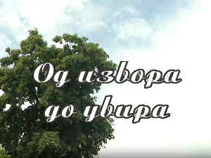 Од извора до увира