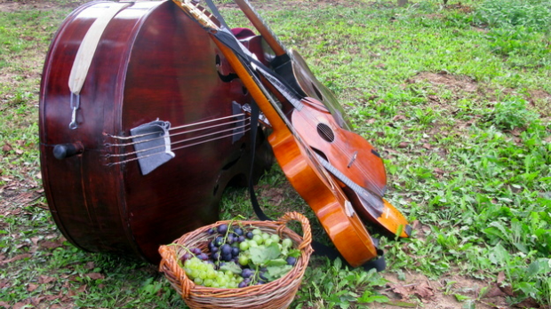 Тамбурица златна жица