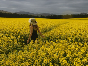 Ритам звезда – Женска имена у песмама