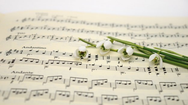 Вокални ансамбли – The Peters sisters