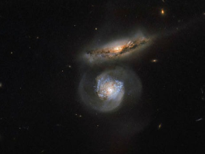 Тихомир Стевановић: Мрља