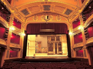 Мирослав Пендељ: Дрво за виолине