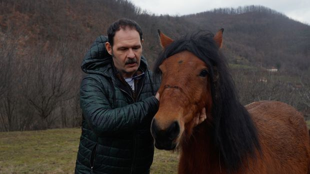 Ветеринарска мисија: Столовима у походе